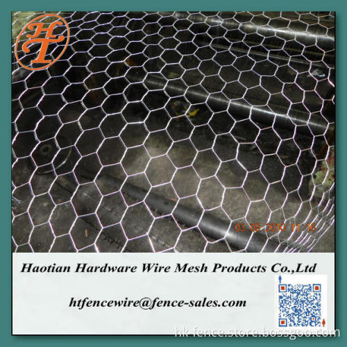 Galvanized Hexagonal Wire Netting Wire Mesh fence Supplier